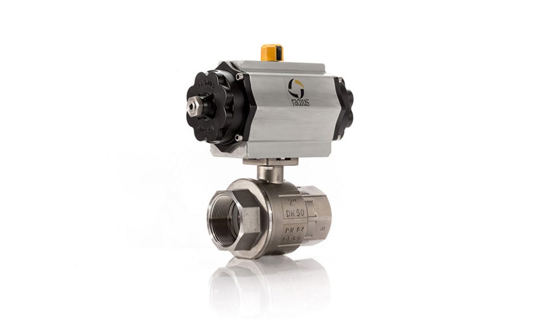 Pneumatic 22D SS Ball Valve Assembly